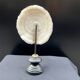 Antique natural white coral on a blackened wooden base, notebooks of curiosities
