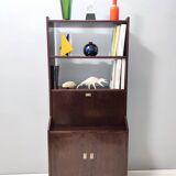 Vintage Walnut Bookshelf and Secretaire by Claudio Salocchi for Sormani, Italy
