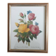 Botanical plate of Roses by PJ Redouté framed