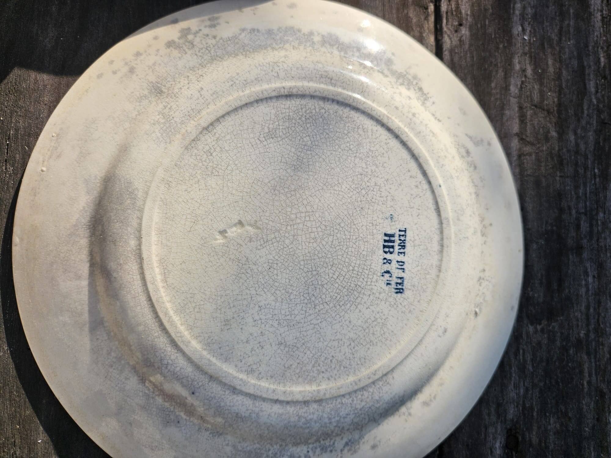 Antique 19th century plate, Terre de Fuego, blue with bird motif