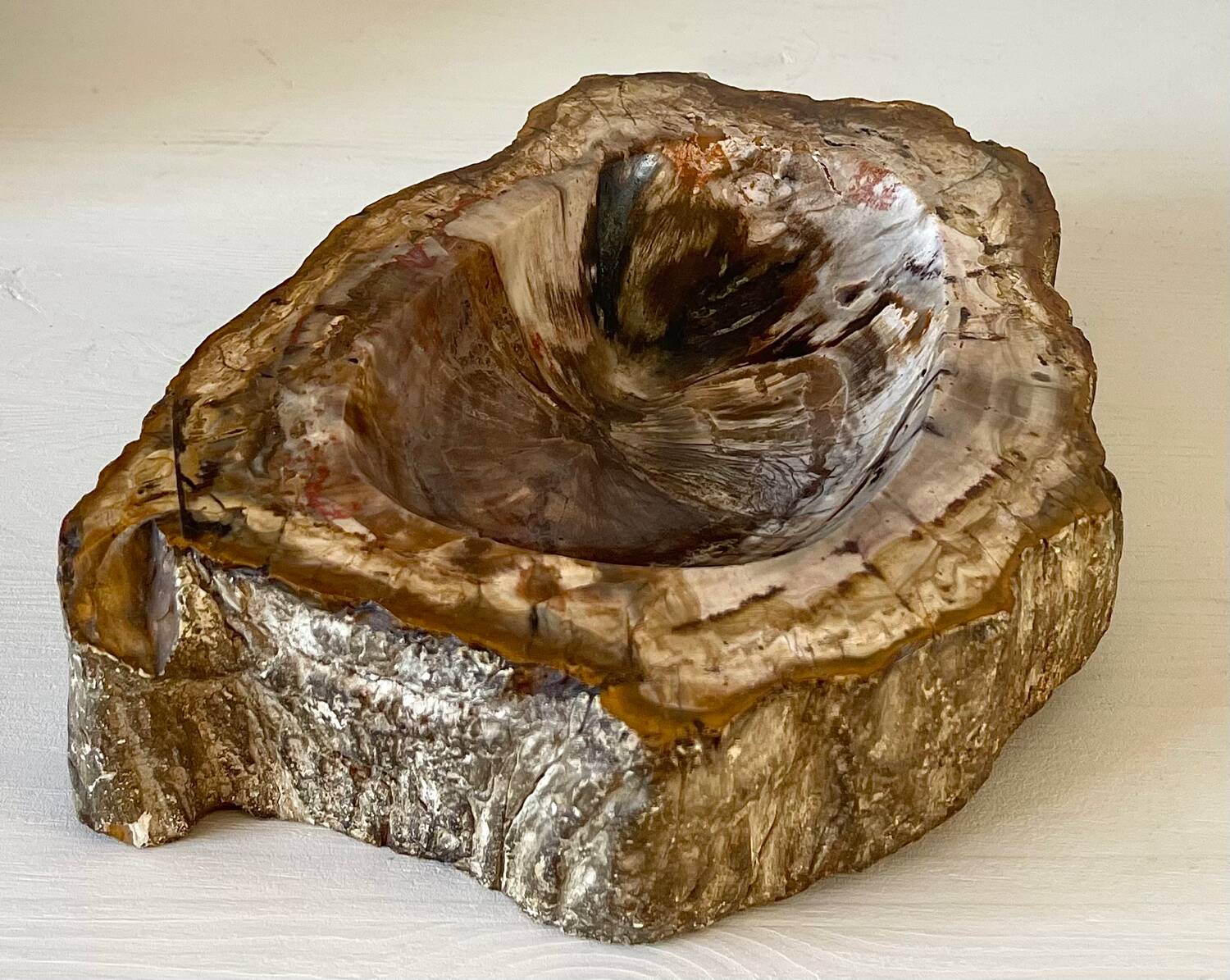 Petrified wood catchall
