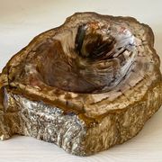 Petrified wood catchall