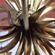 Wheat ear golden chandelier 5 branches.