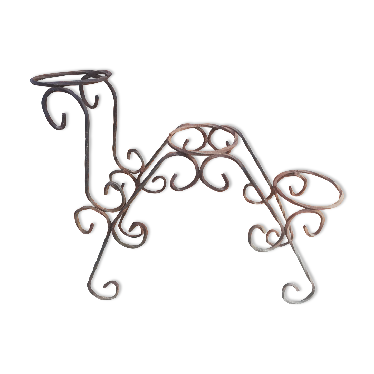 Wrought iron plant holders