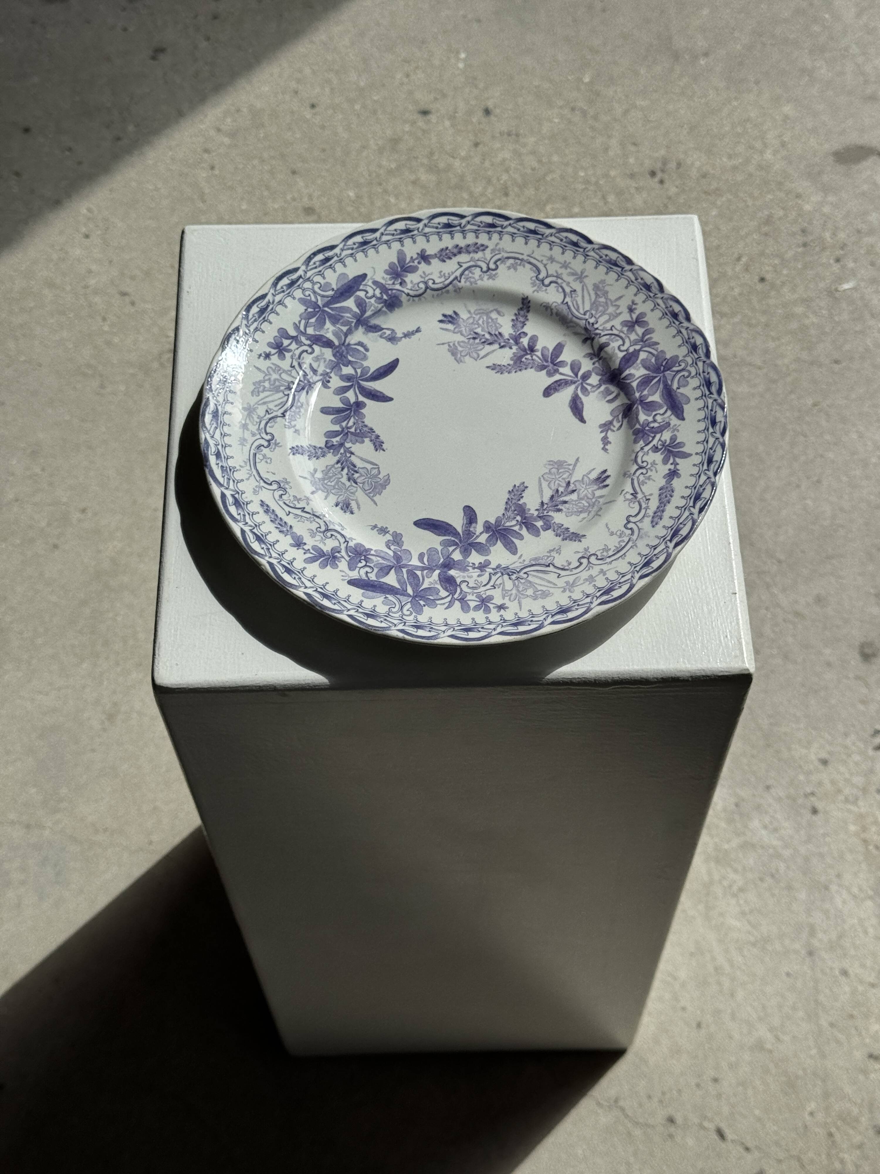 Set of 5 flat plates in earthenware with a lavender floral design H2 D22