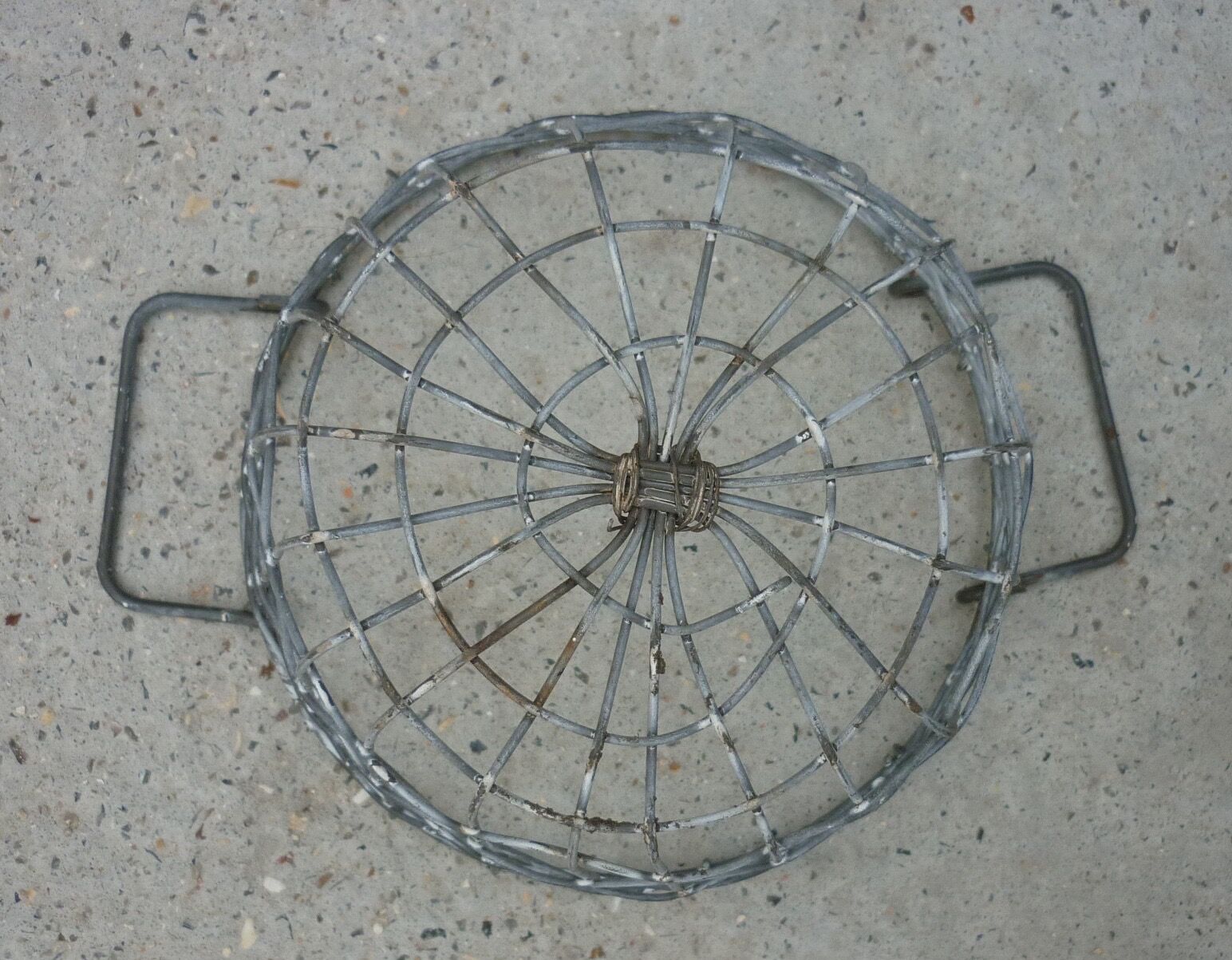 Metal harvest basket with 2 handles