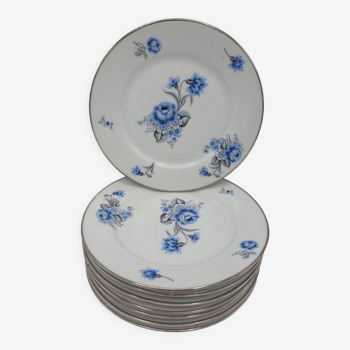 Set of 8 plates