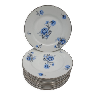 Set of 8 plates