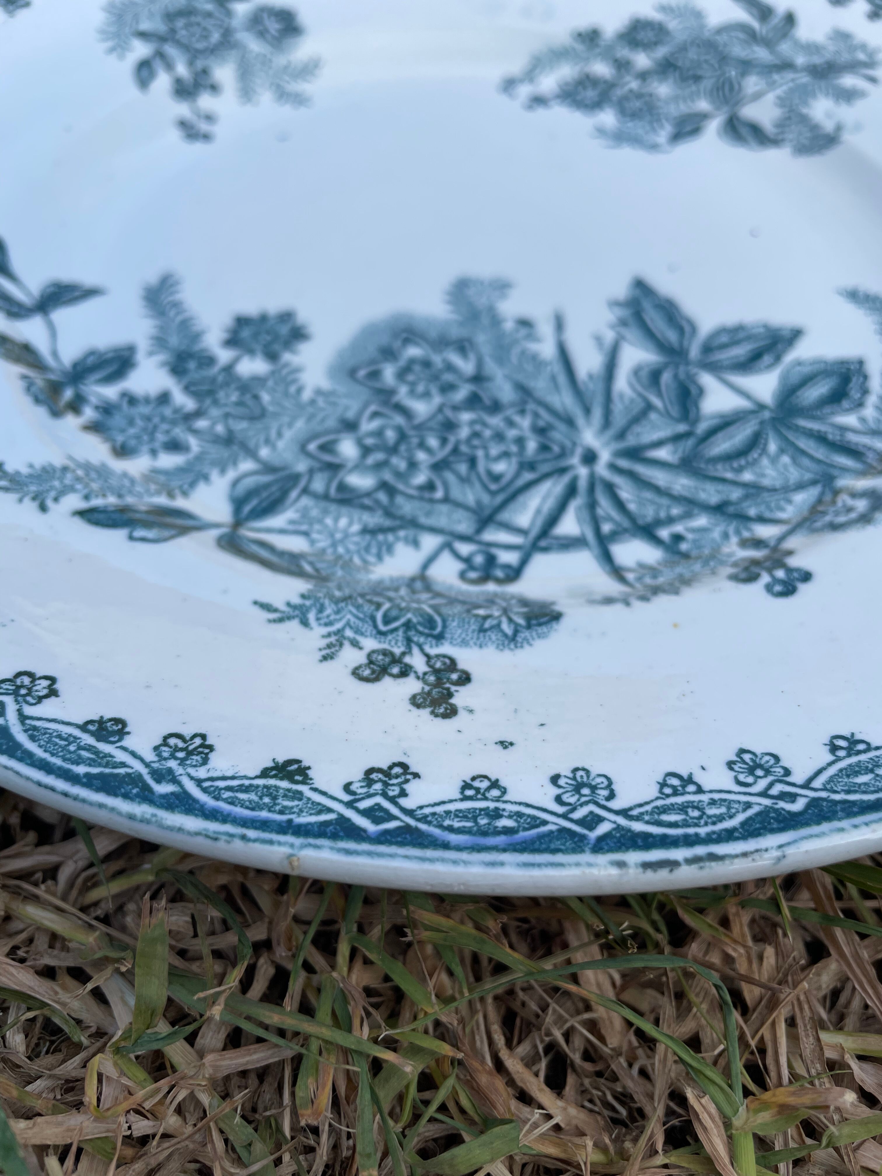 Set of 6 plates Terre de Fer model Margot Sté Amandinoise