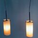 Double Pendant Lamp from Rotaflex, 1950s