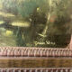 Dutch school - landscape with cows - oil paint