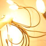 Catellani & Smith Turciu Chandelier