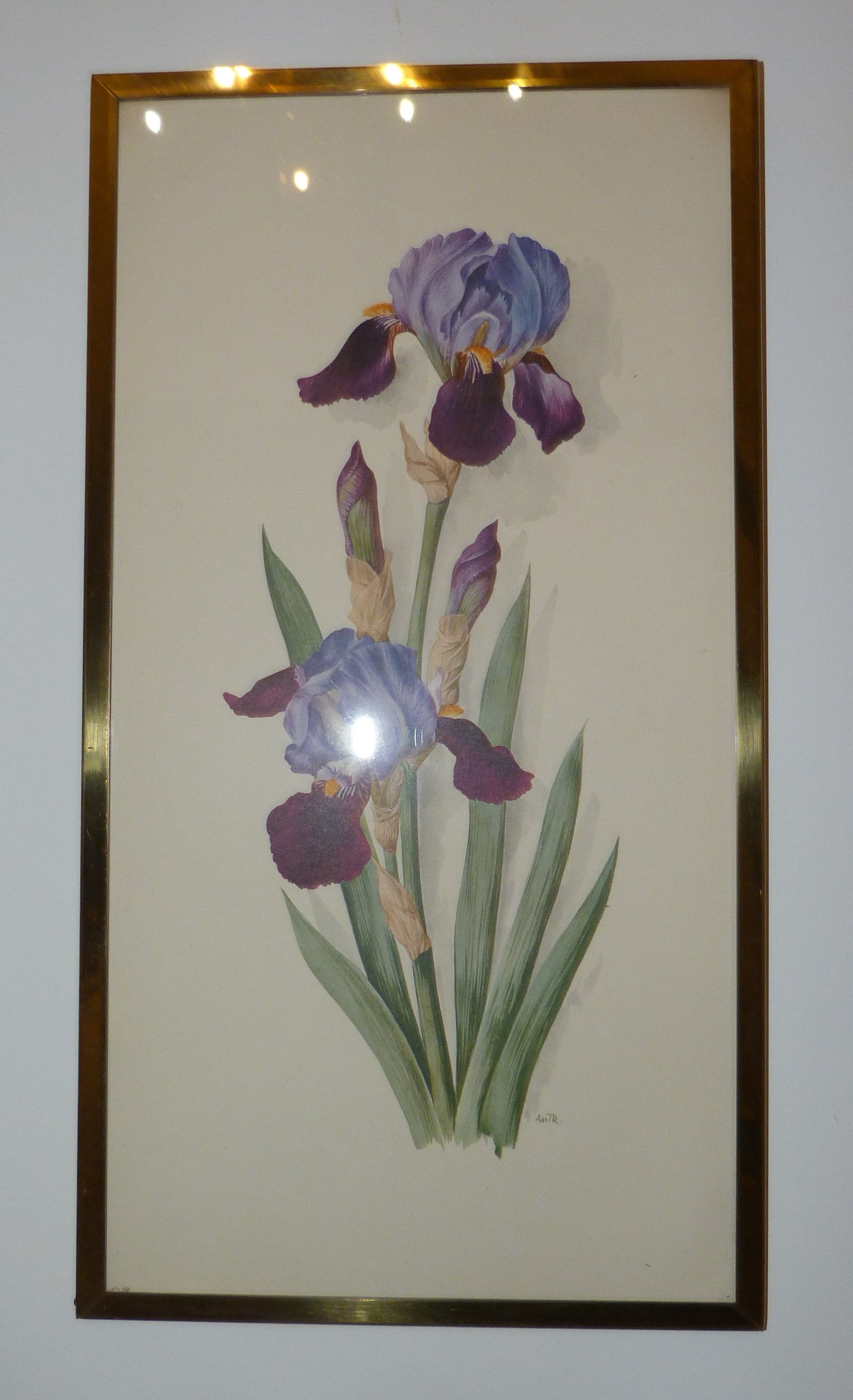 Pair of floral lithographs
