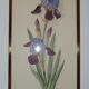 Paire de lithographies florales