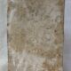 Vintage plaster head " Claude Bernard "