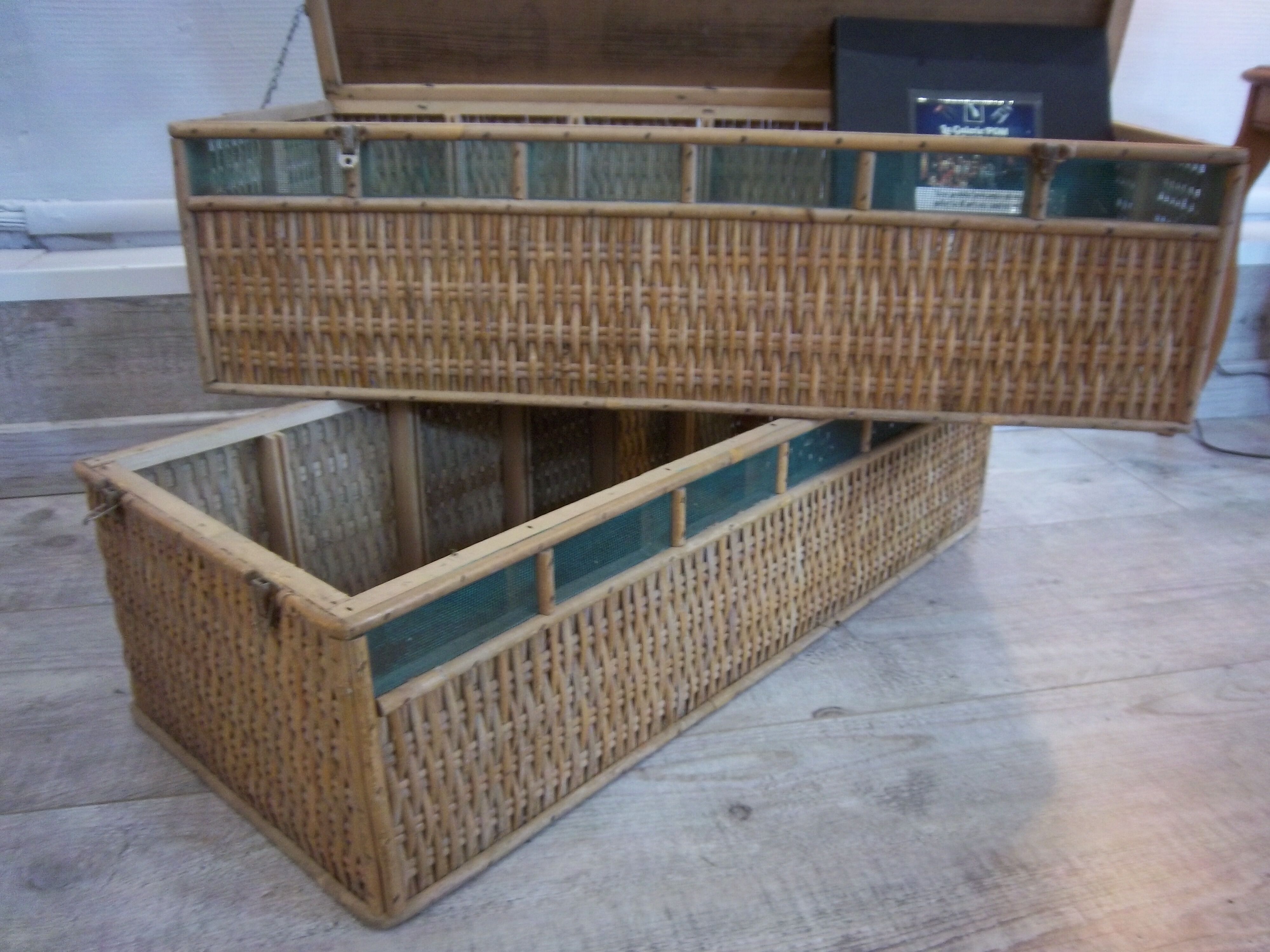 Trunk of 1950 rattan for transport of pigeons