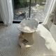 Oval coffee table duo travertine