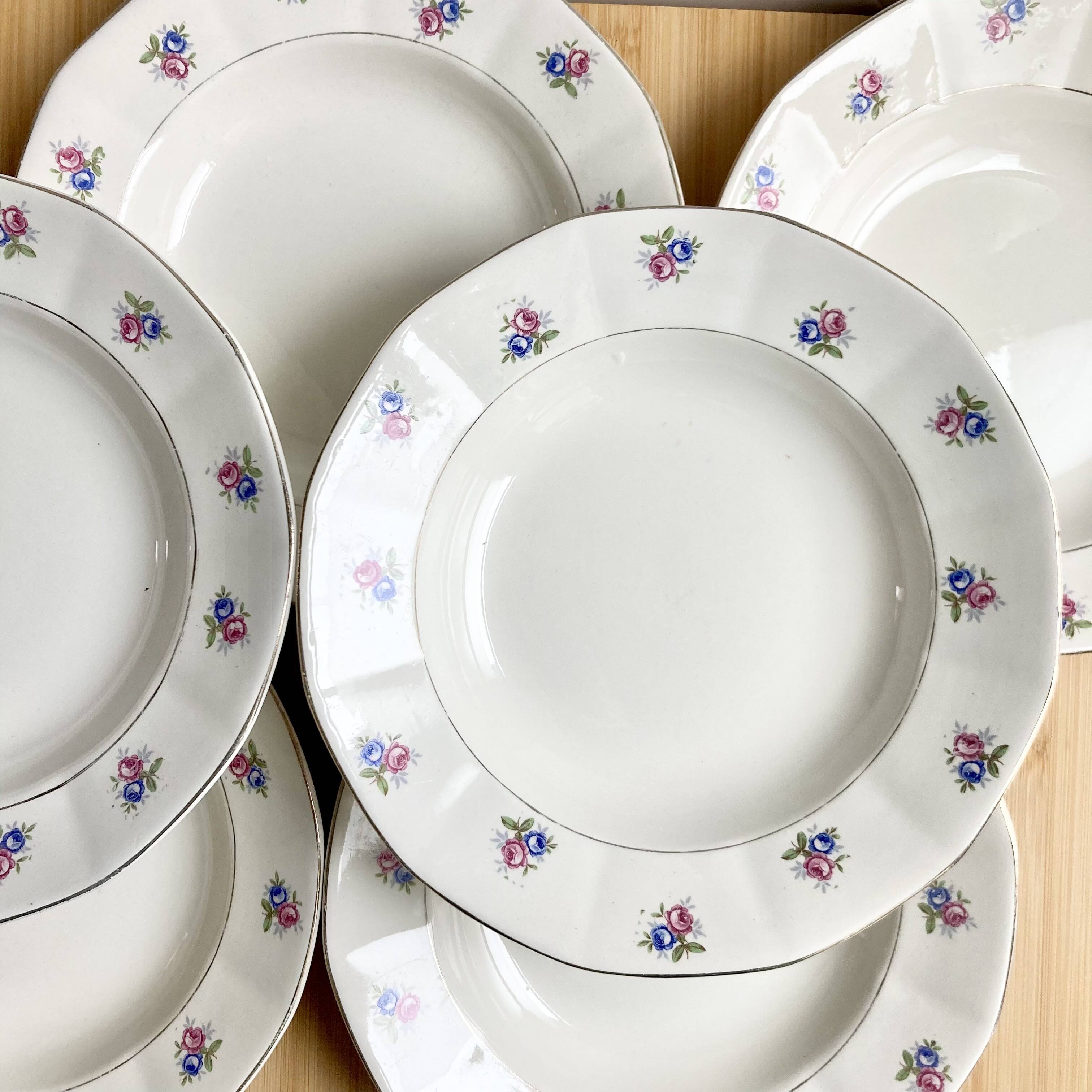 6 Digoin soup plates