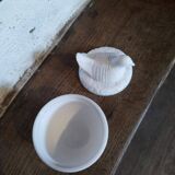 Avon Opaline Bird on Nest Box
