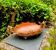 Large Art Nouveau copper fruit bowl Italy