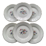 Set of 6 faience dessert plates digoin sarreguemines bird of paradise