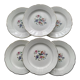 Set of 6 faience dessert plates digoin sarreguemines bird of paradise