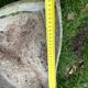 Elo France brand fibre cement planter