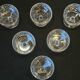 6 St Saint Louis champagne glasses Florian model in cut crystal 539