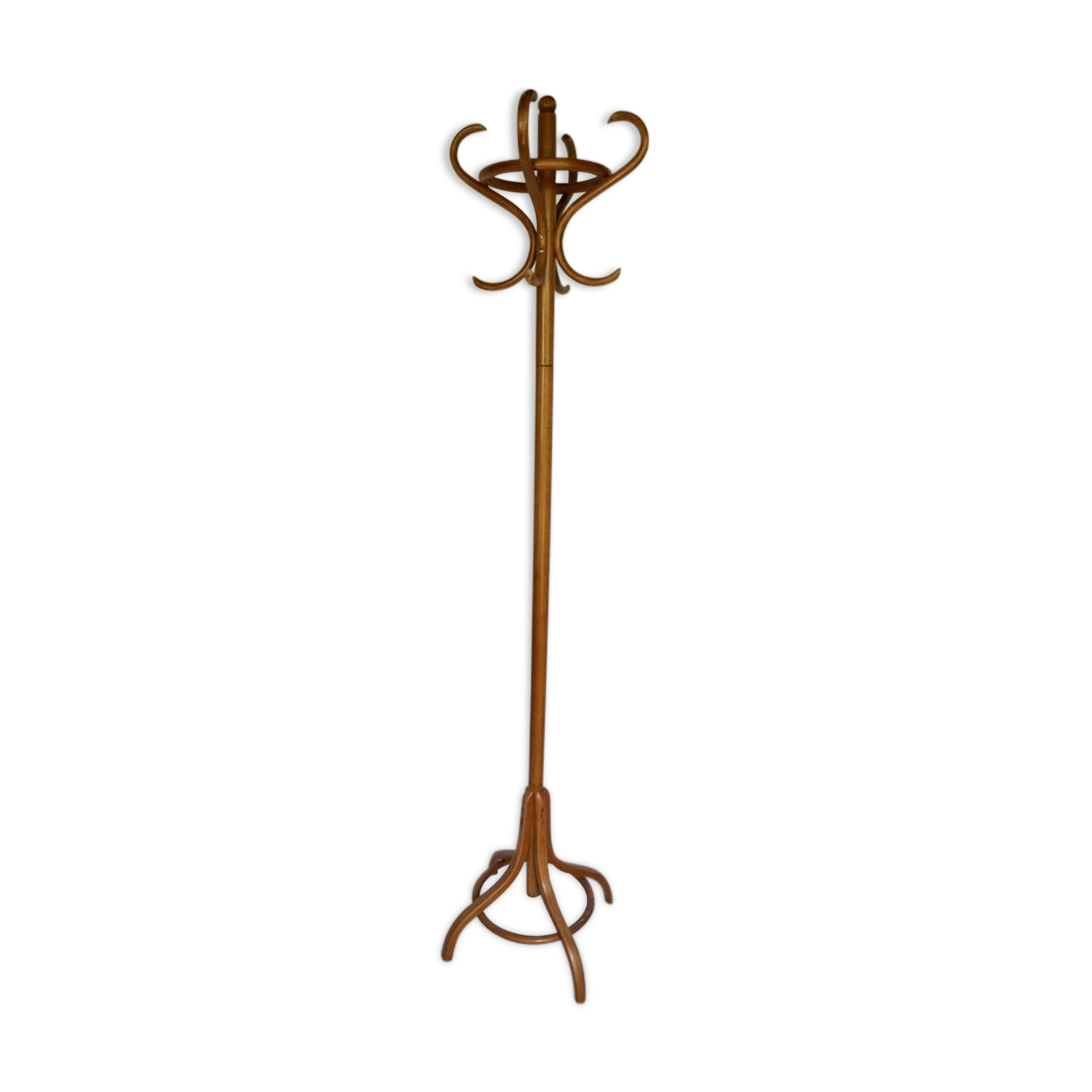 Parrot coatrack