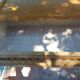 Commode vintage pieds compas en bois massif et osier