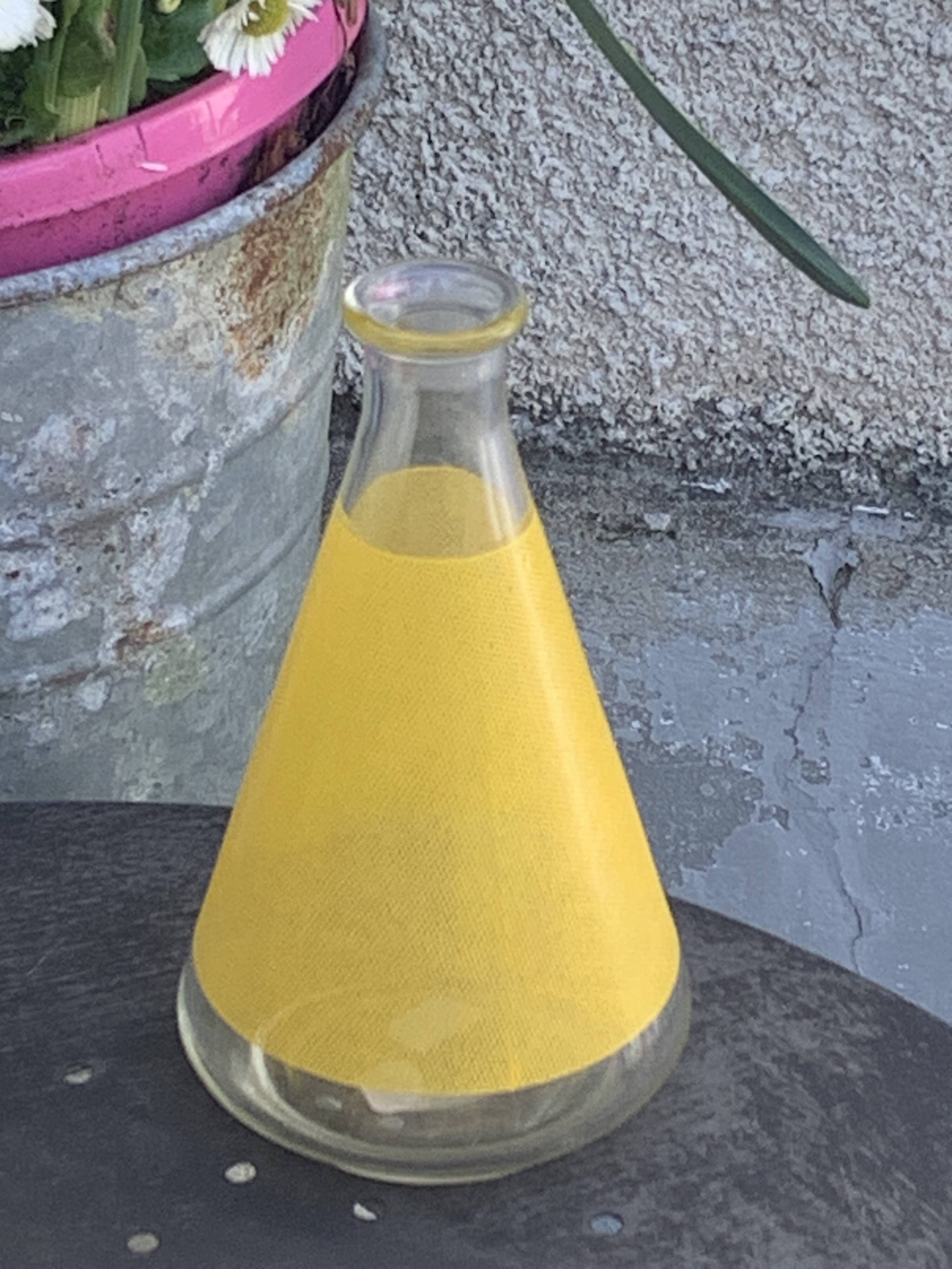 Liqueur service composed of a glass carafe and 8 small yellow screen-printed glasses