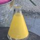 Liqueur service composed of a glass carafe and 8 small yellow screen-printed glasses