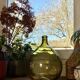 10L demijohn in a pretty olive green
