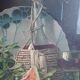Still life painting