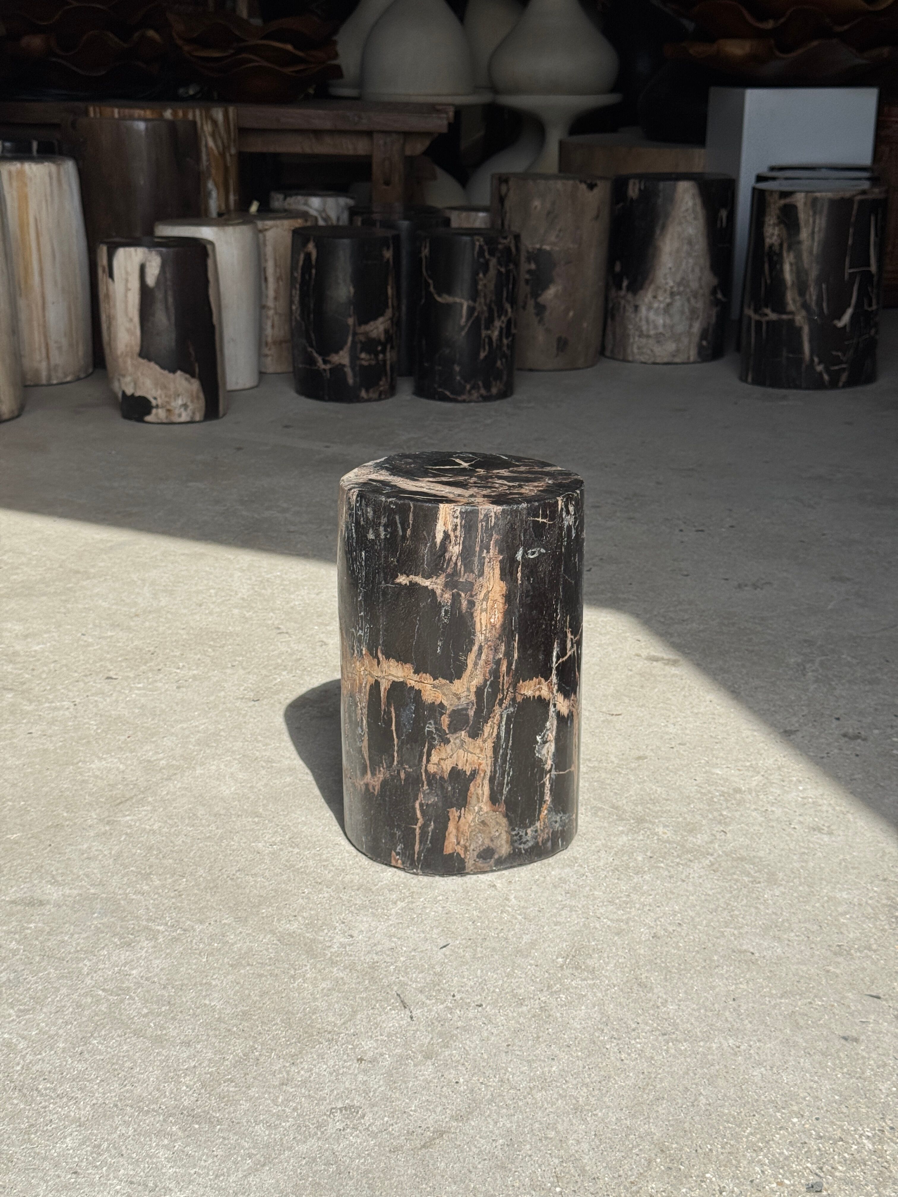 Table d'appoint en bois pétrifié noir