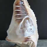Cameo seashell night light with mythological decor