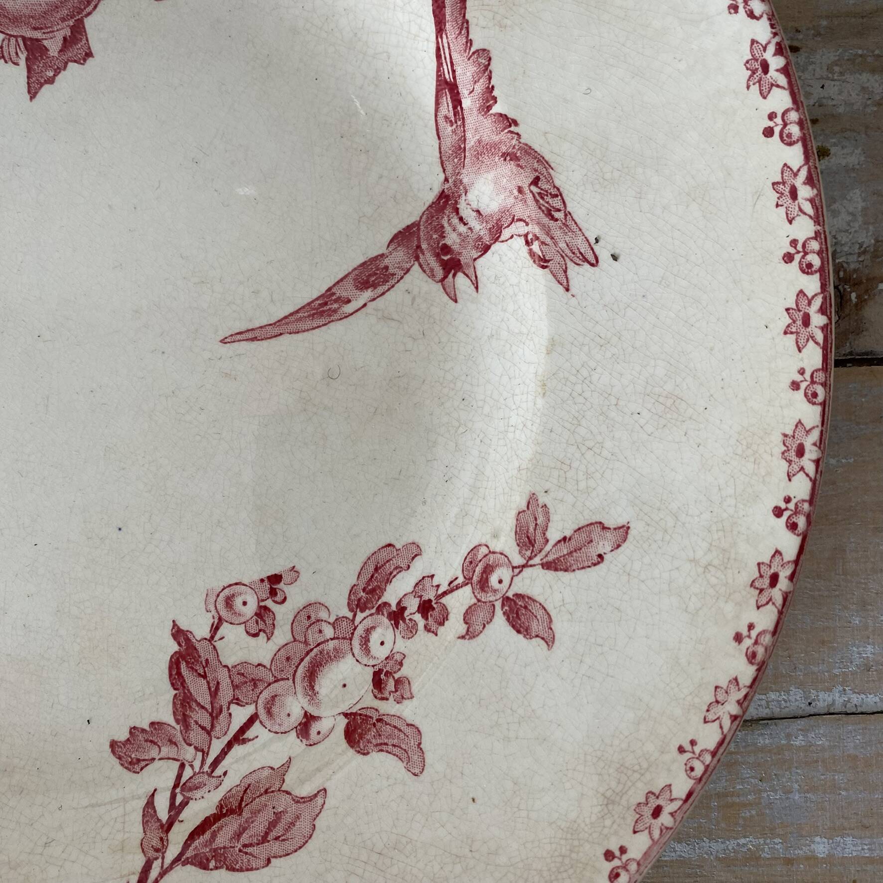 Round plate made of ironstone Sarreguemines Digoin model Favourite