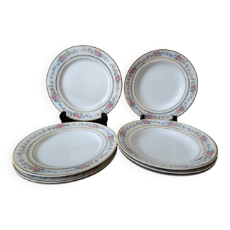 Set of 8 floral design plates | D.R.B. Limoges porcelain