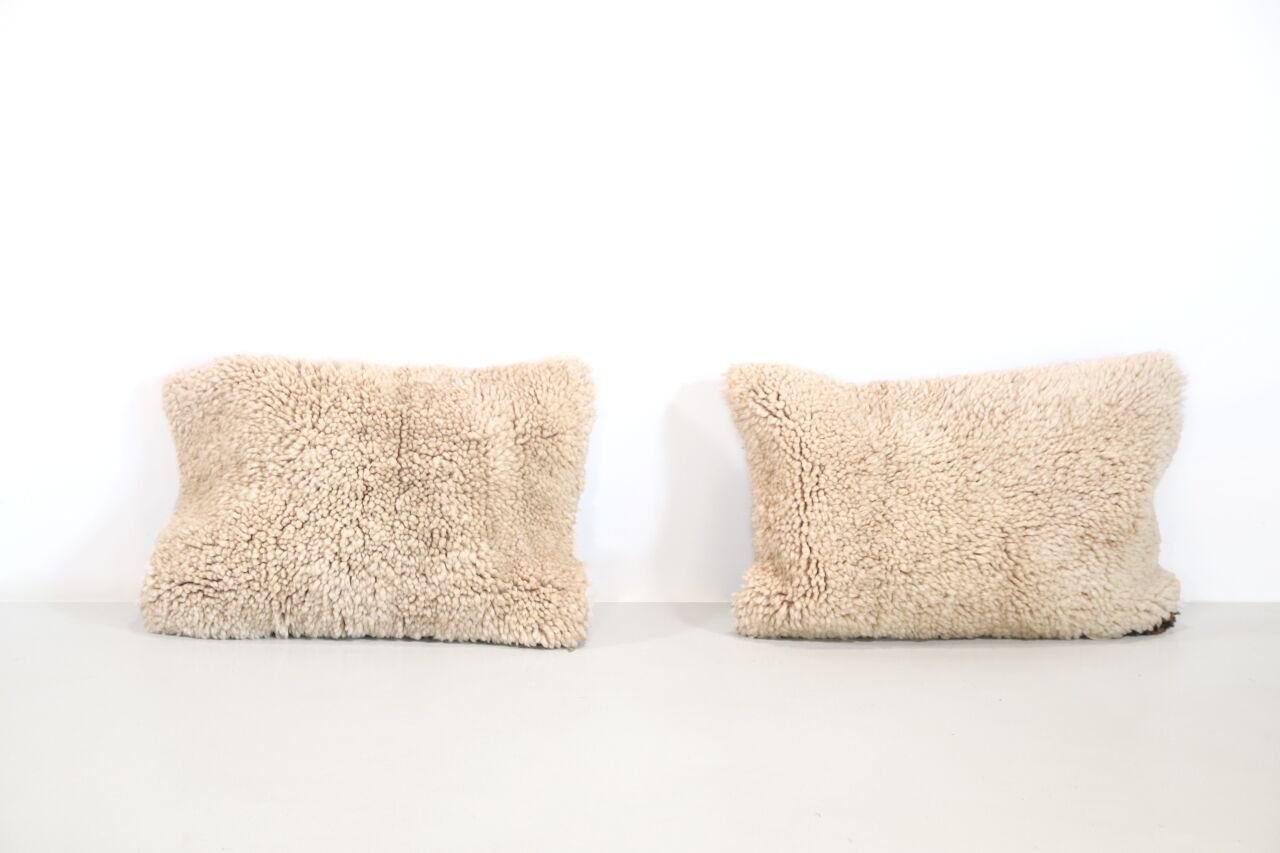 Set of vintage Moroccan wool cushions