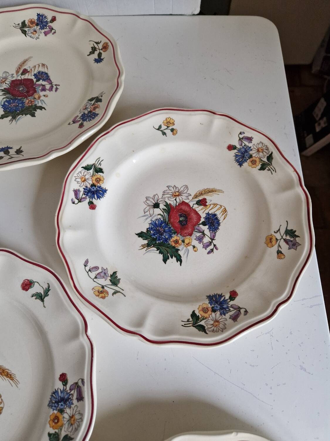 Set of 12 Sarreguemines Plates, Agreste Models