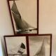 Lot of 3 black and white photographs sails and sailboats