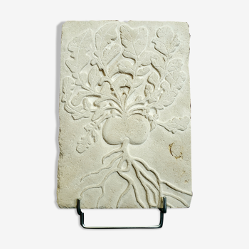 Turnip in bas-relief