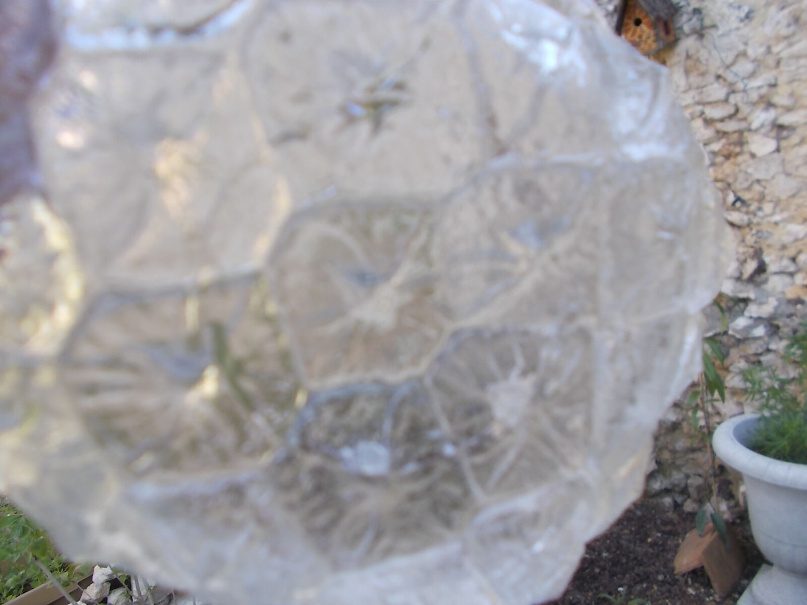 Pineapple fruit salad service