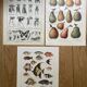 Set of 3 illustrated boards Xx - Reserved