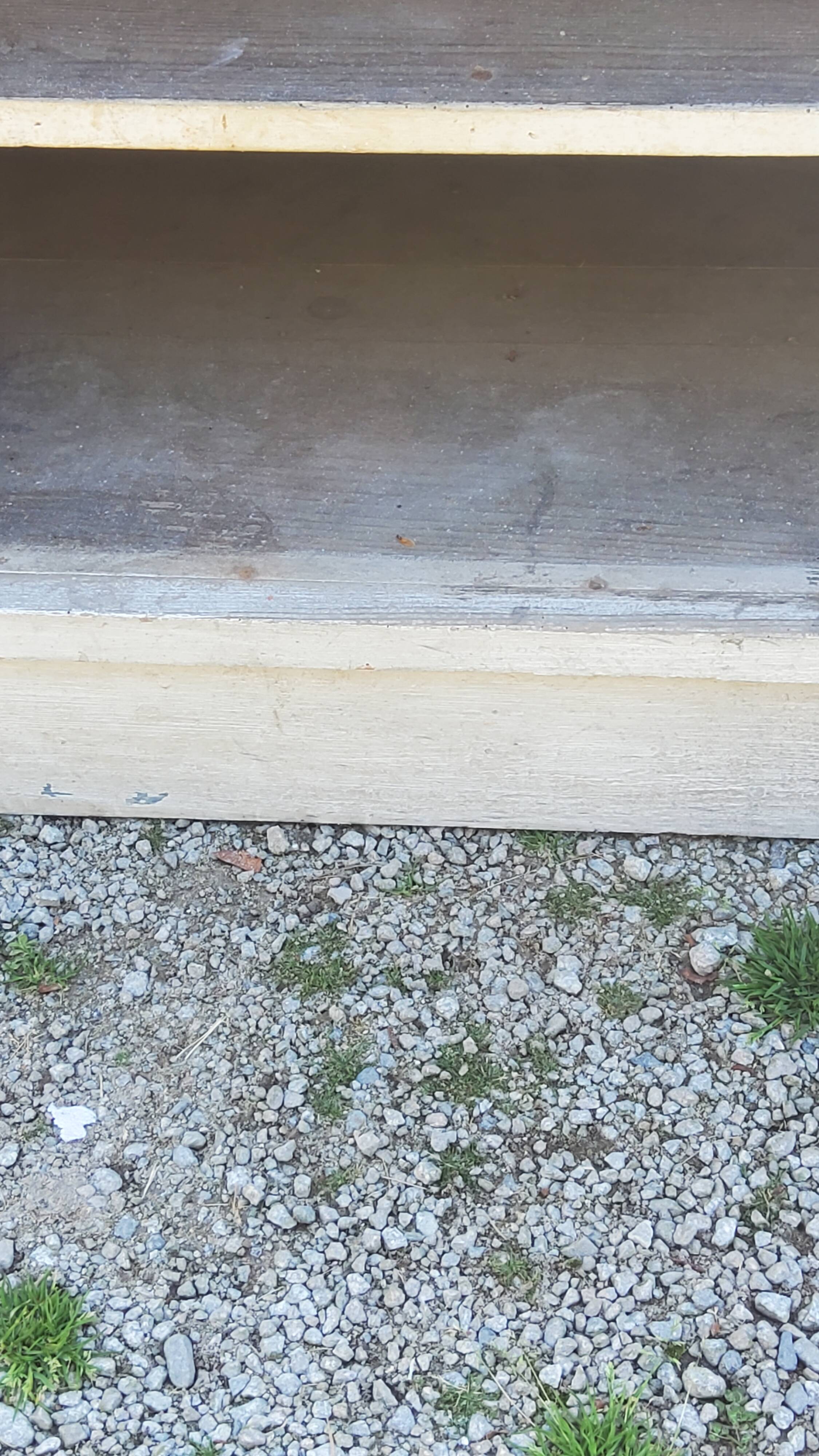 Grocery counter from the 30s