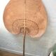 Wicker palm