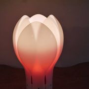 Lampe tulipe en plexi de Yngve ekstrom 1970