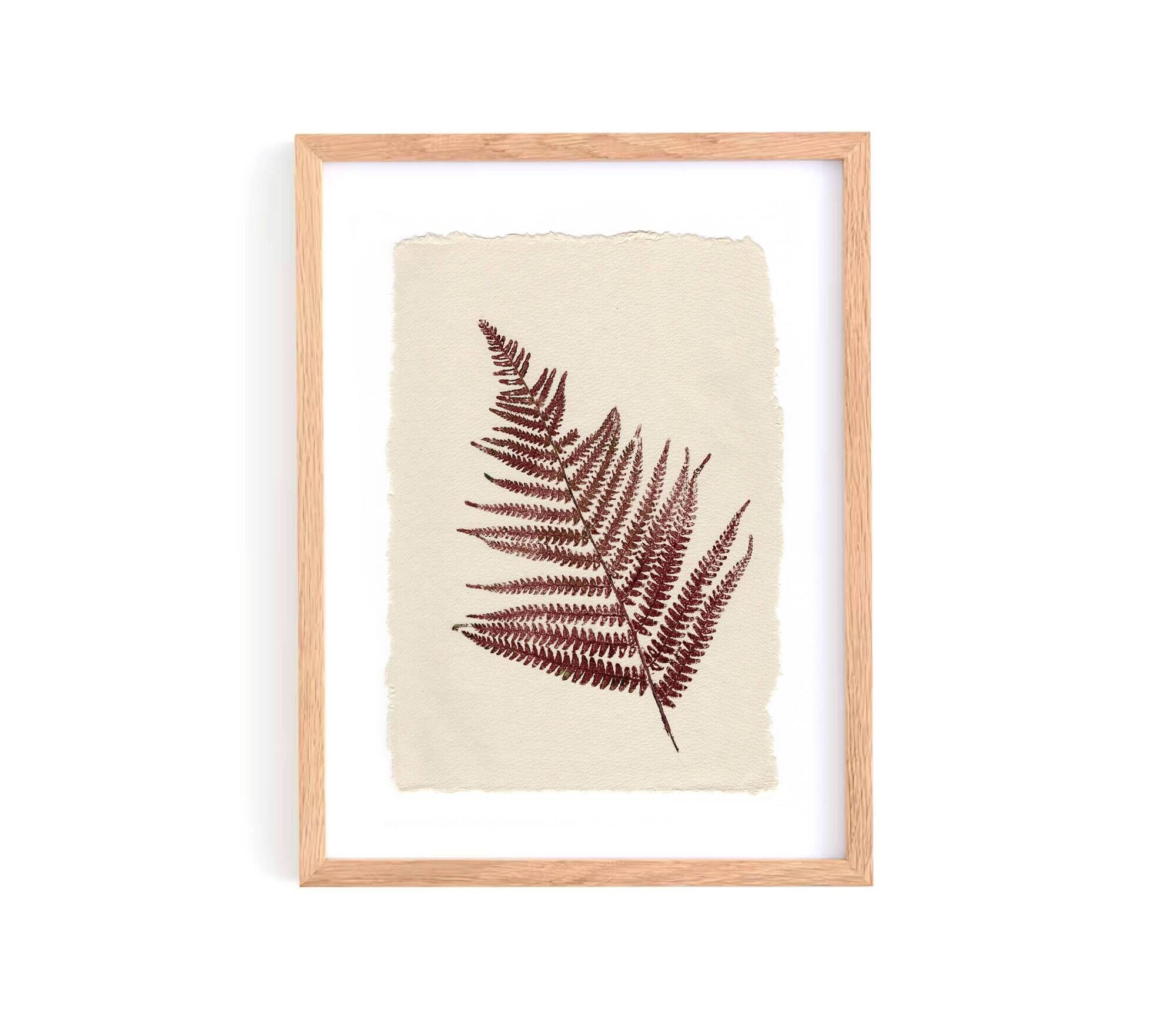 Collection of 4 herbarium paper paintings signed Eawy.