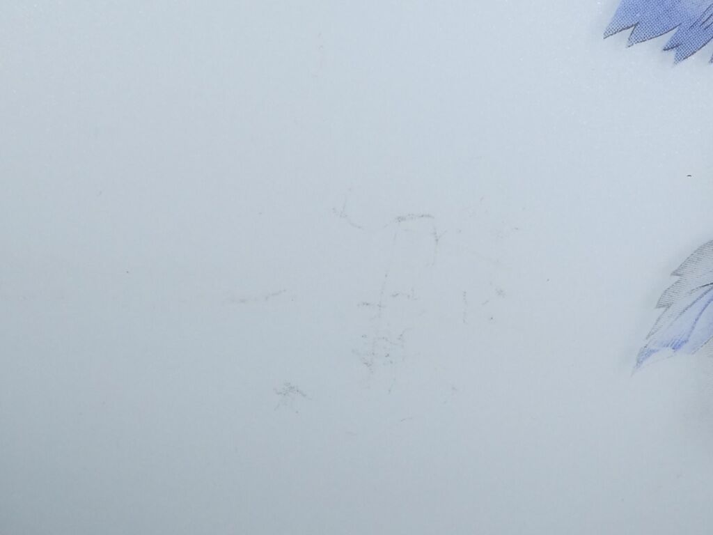 Vintage vintage floral decoration opaque glass vase 50 years