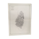 Ancient marine map is St Lucie Antilles